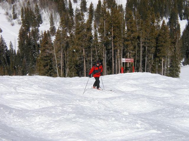 Photo of Eric Danforth Mudama